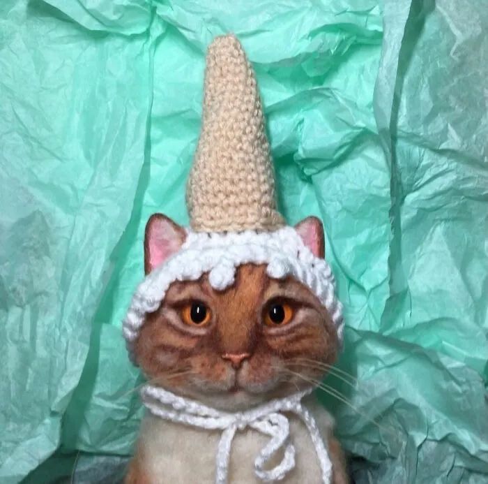 给猫咪编织帽子,给猫编织帽