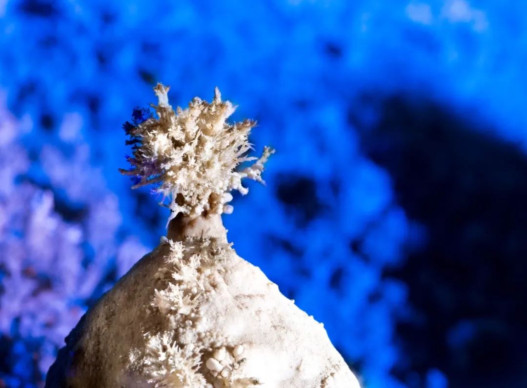 北京旅游去房山寻古探幽避暑纳凉,房山地质公园是什么地貌