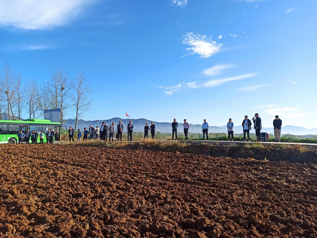 做强烟叶产业助推乡村振兴安良镇 (白沙镇烟叶产业蓬勃发展)