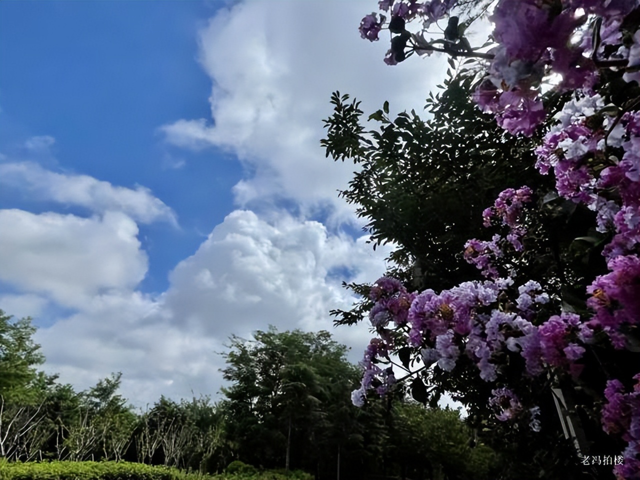 美宝莲,美爆了哟