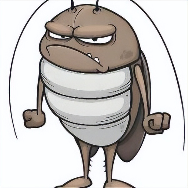 家里出现蟑螂该怎么寻找蟑螂,家里有蟑螂怎么办蟑螂最怕什么