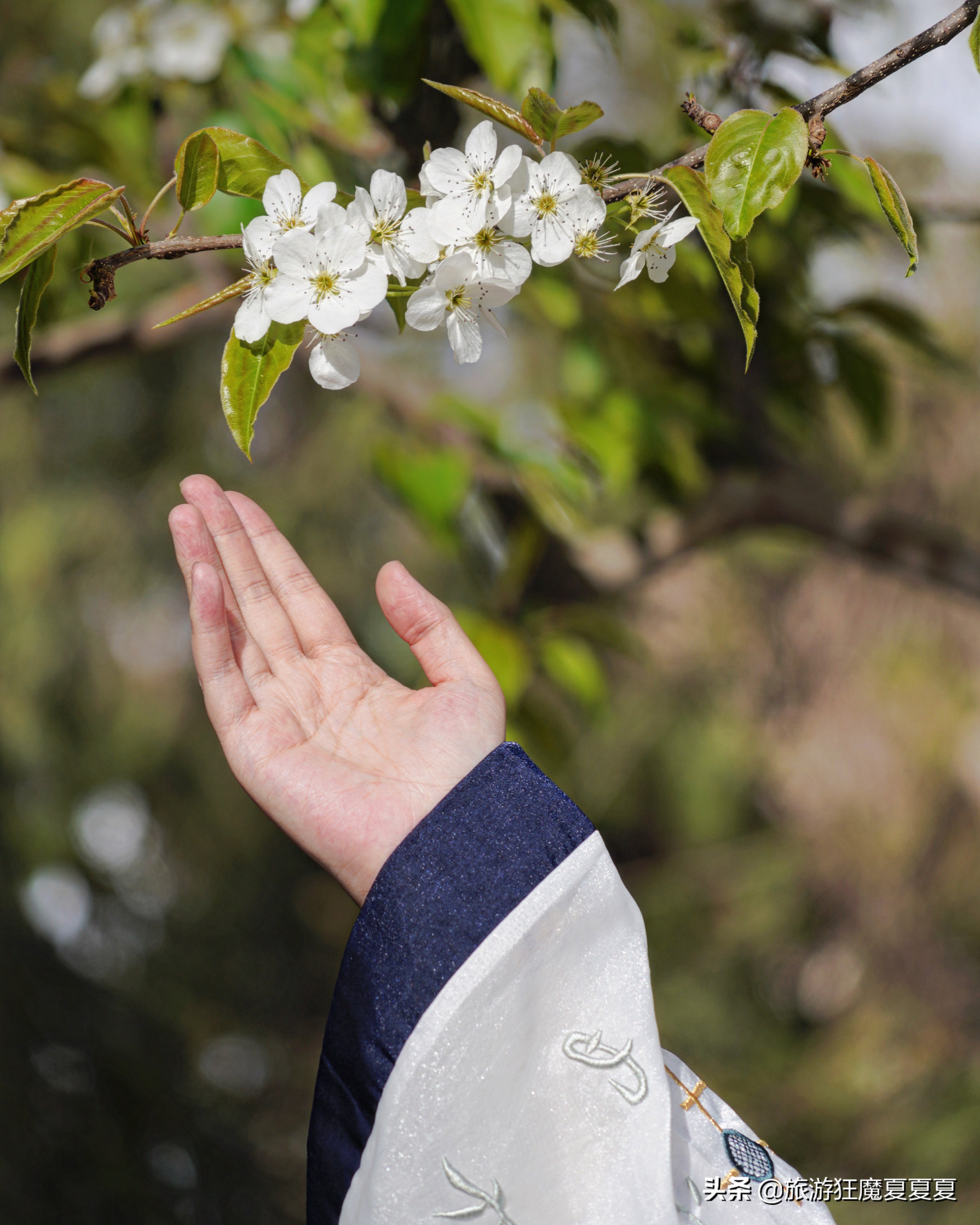 张掖市大佛寺千年卧佛,张掖卧佛最大的寺