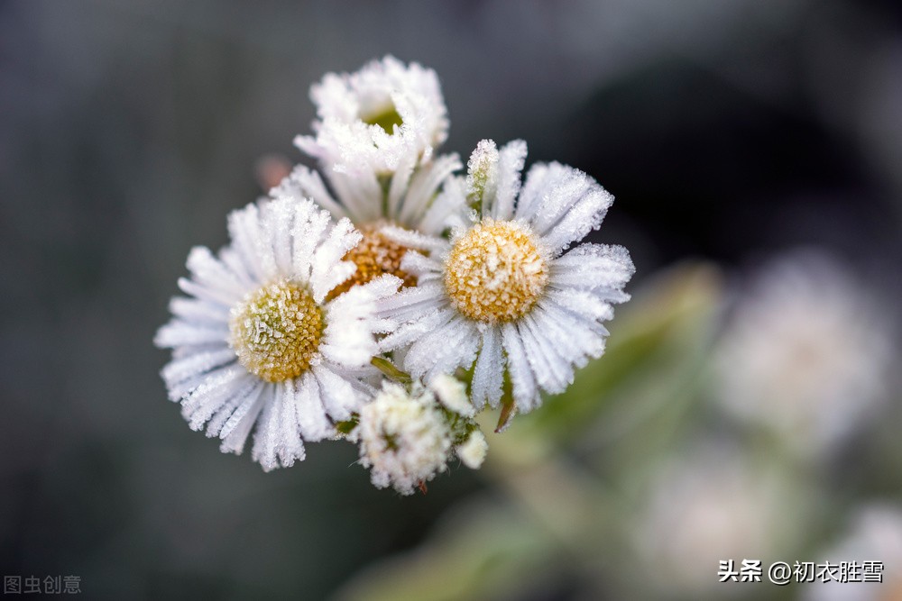 立冬五首：秋将归去冬又至，寒色不遮万山翠