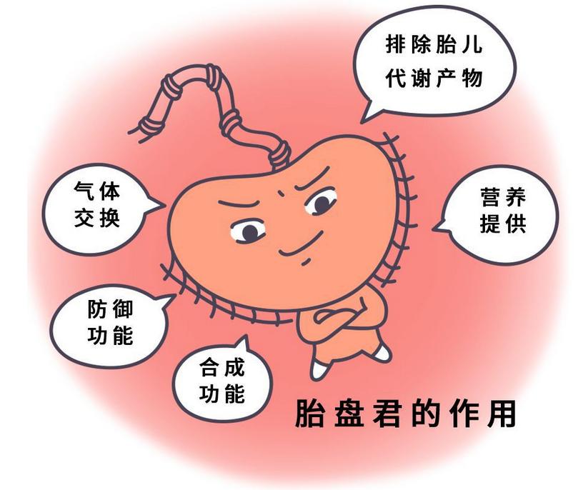 胎盘钙化影响胎儿智力吗,胎盘钙化会影响胎儿智力吗