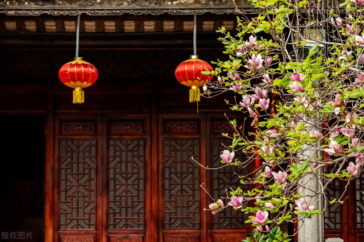 室外冻不死的十种花草,零下30度冻不死的露台植物