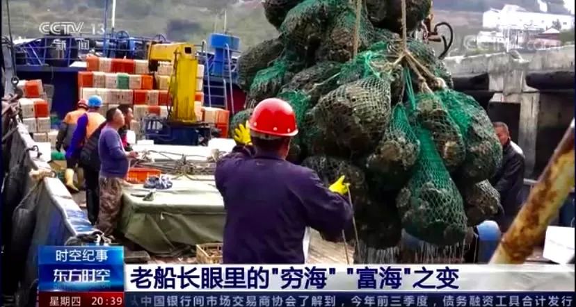 央视东方时空纪录片,央视新闻纪录片东方时空