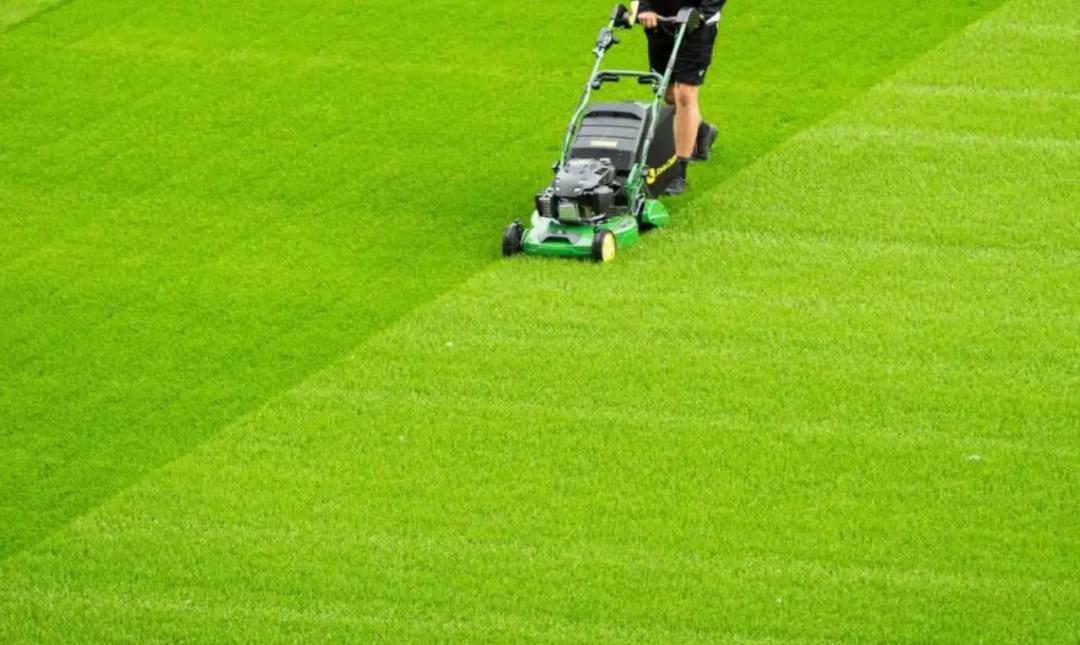 用一块草皮影响欧洲杯战绩？是时候出场了，低调的草皮管理大师