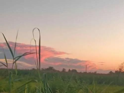 低调又不失内涵的文艺句子,简简单单却惊艳你的高级句子