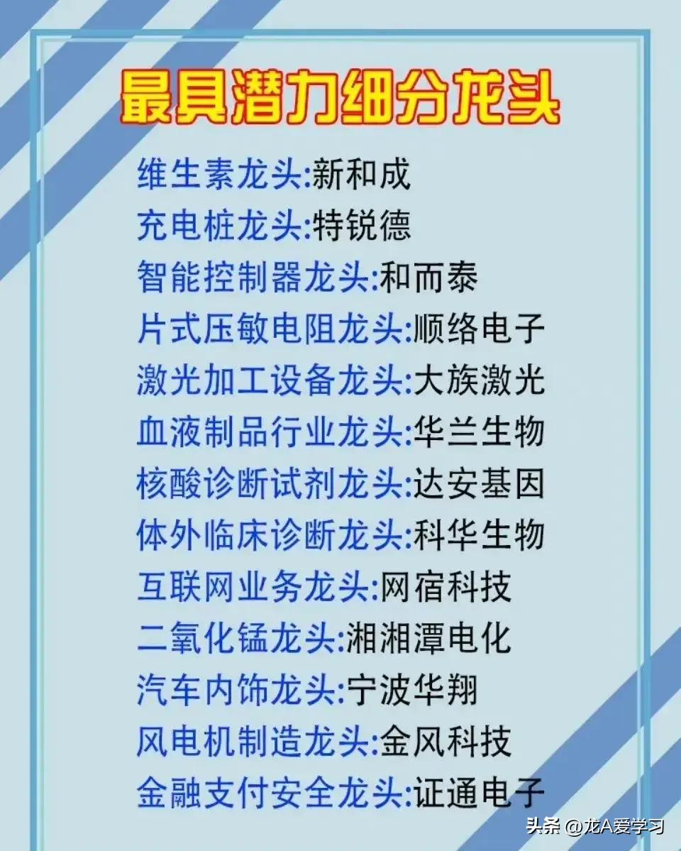 最具发展潜力的科技股,最具潜力的中国十大科技龙头