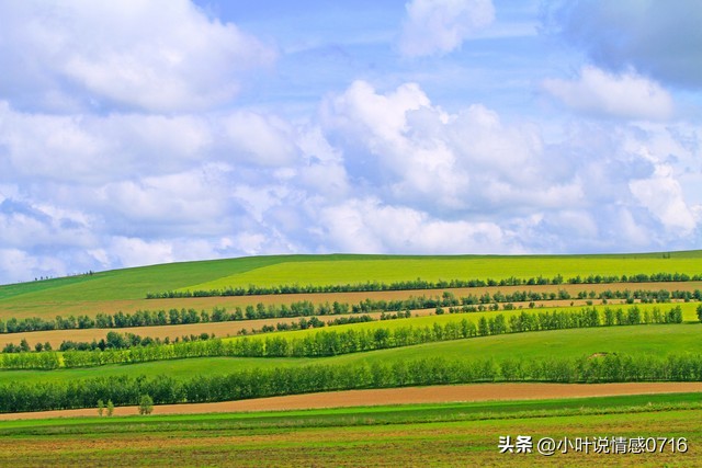不会说话怎么快速提高表达能力,反应慢嘴笨表达能力差看什么科室