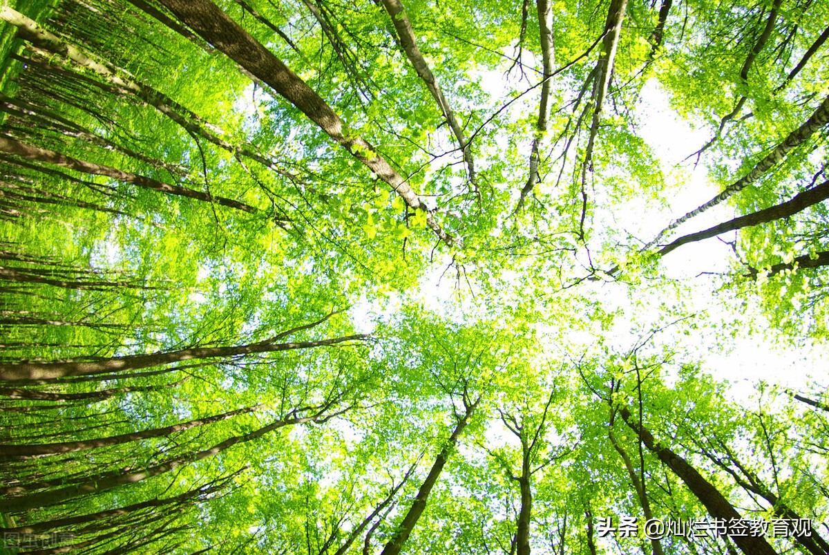 如果有人伤害了你,你会怎么对待那个人?