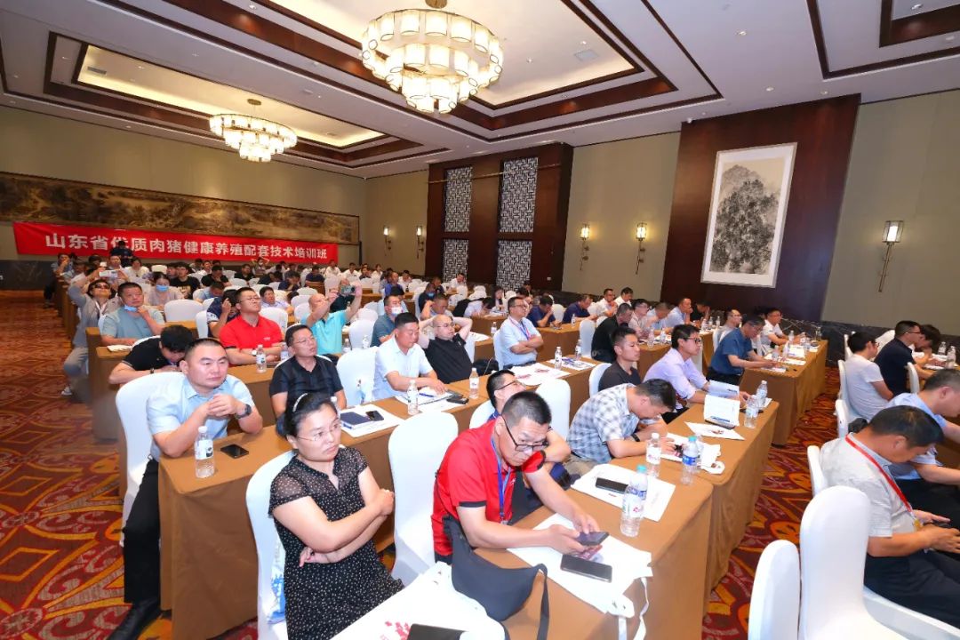 生猪行业大会,全国猪业大会论坛