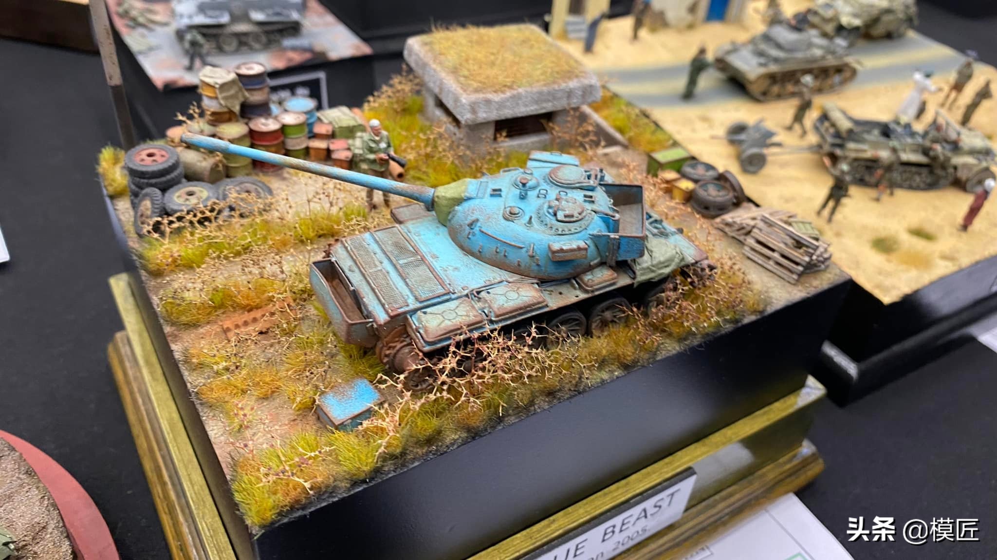 匈牙利莫森金奖,莫森模型展