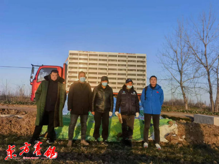 浙江德飞赛鸽公棚路线,浙江德飞赛鸽公棚直播