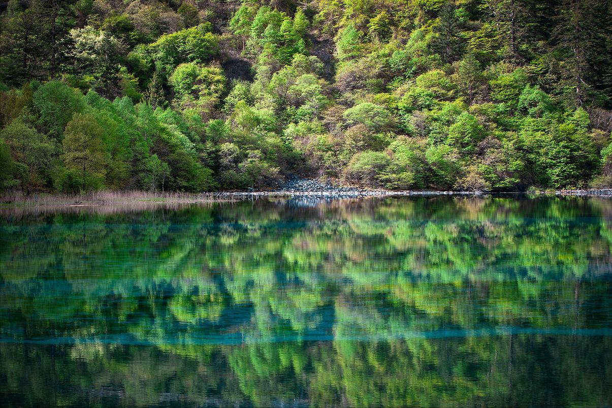 柳州个人游四川九寨沟旅游攻略,从青海去四川九寨沟旅游攻略