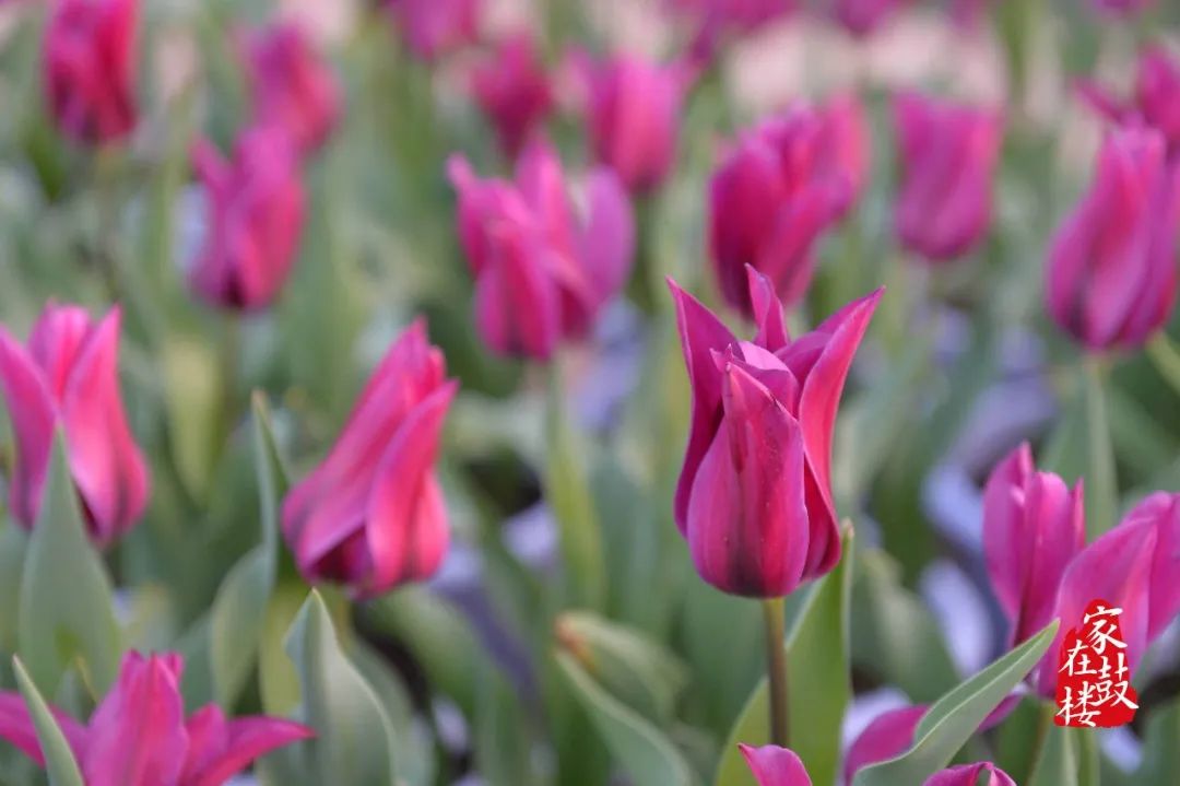 一秒穿越到最浪漫的地方,一秒穿越到风景里