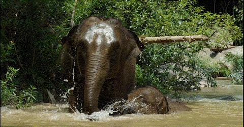 景洪夜景最好的地方,景洪边境是在什么地方