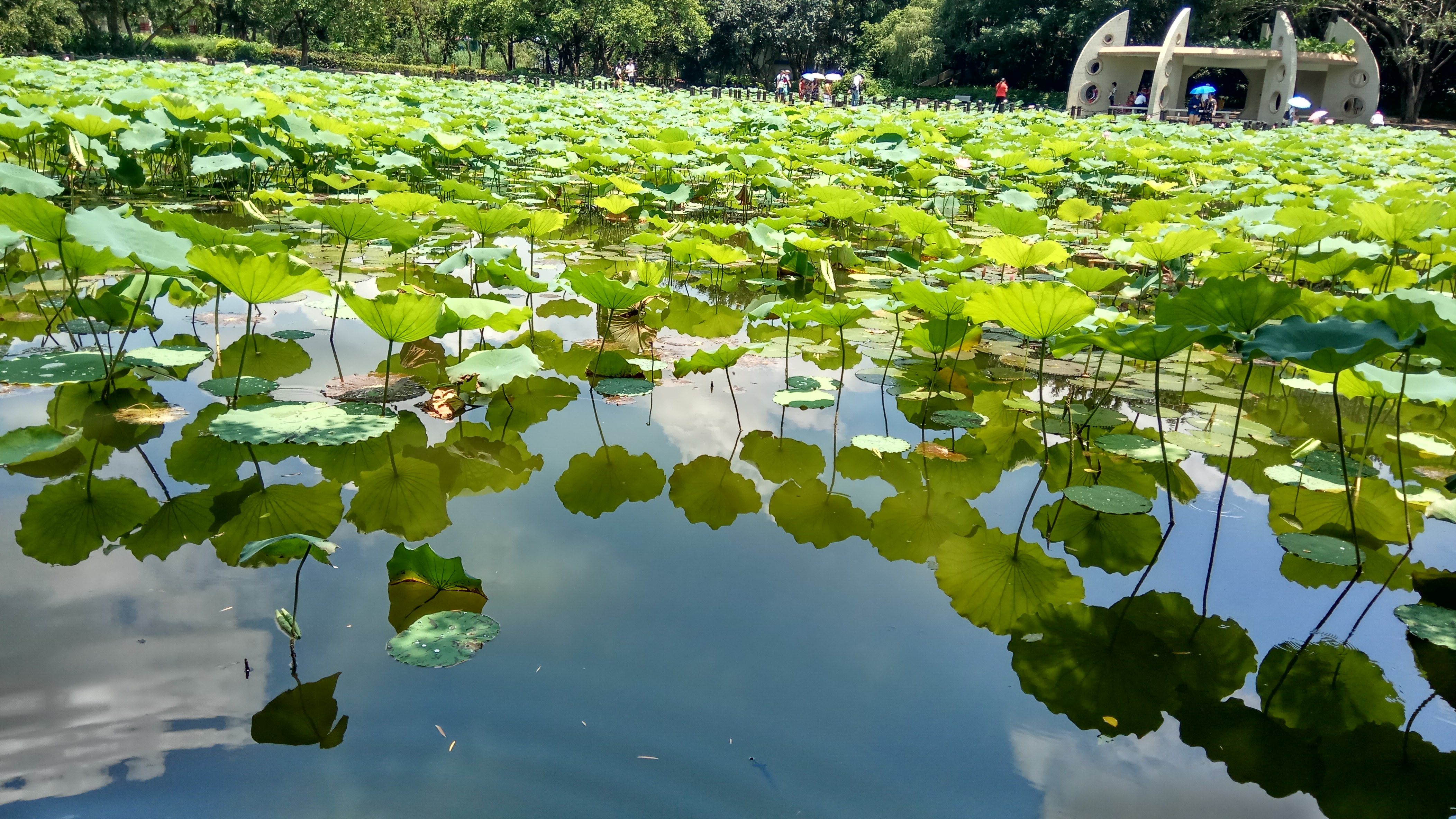 青春期社交恐惧症怎么克服,有社交恐惧症的人怎么克服
