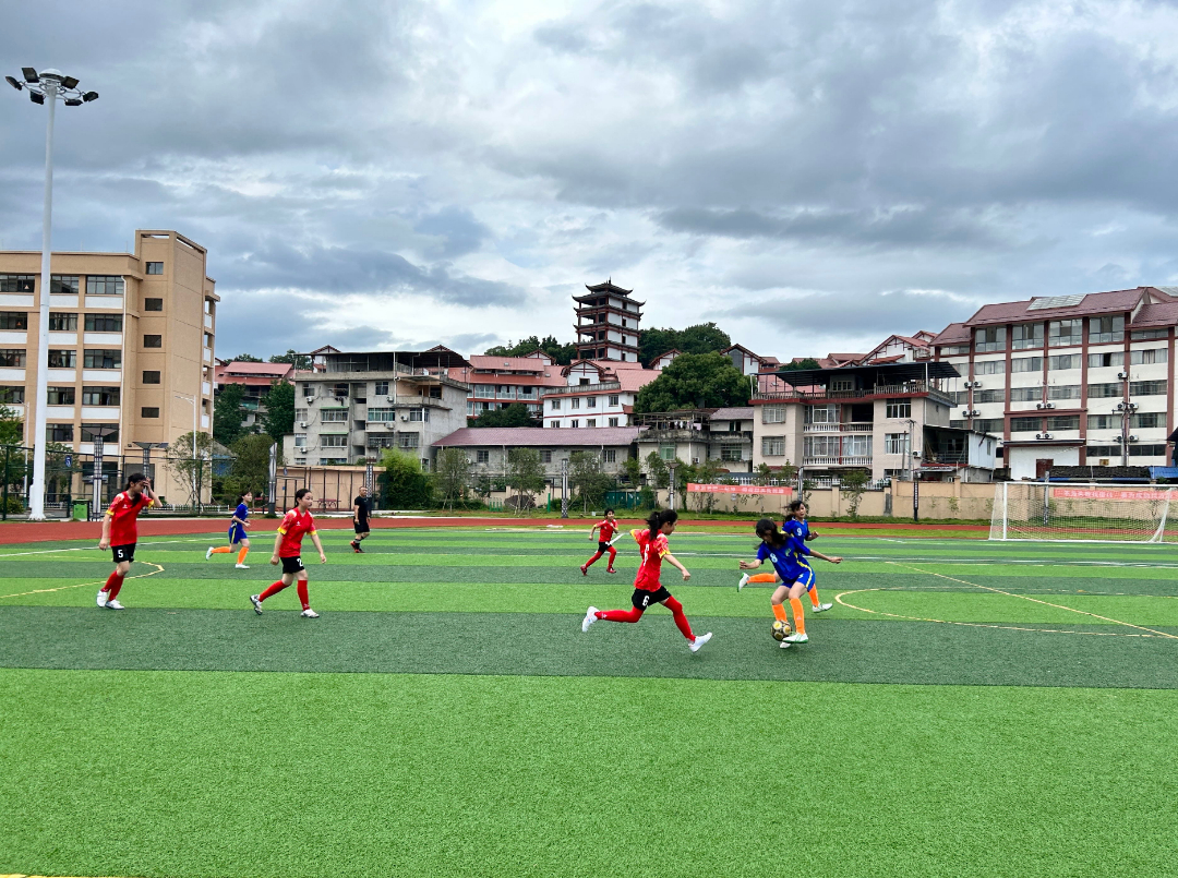 南平市派迪茵,派迪茵体育