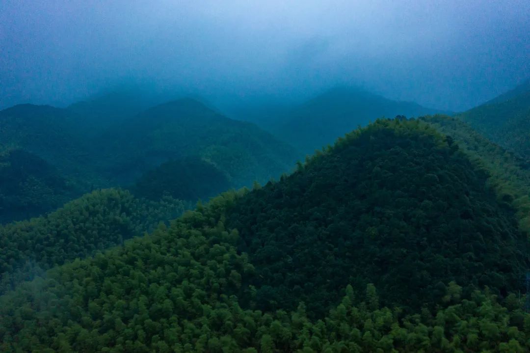 莫干山民宿天花板体验之旅,藏在莫干山间的民宿真的太美了