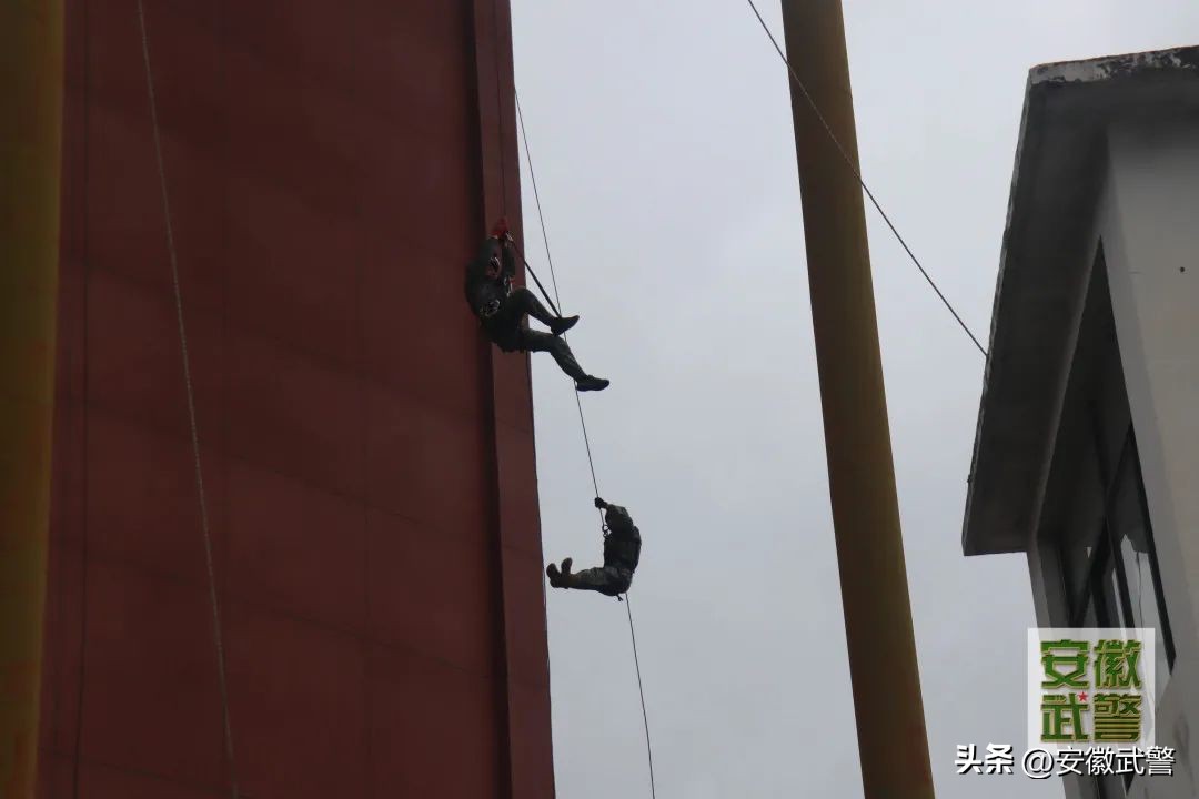 驻训印象最深刻的事,驻训感言