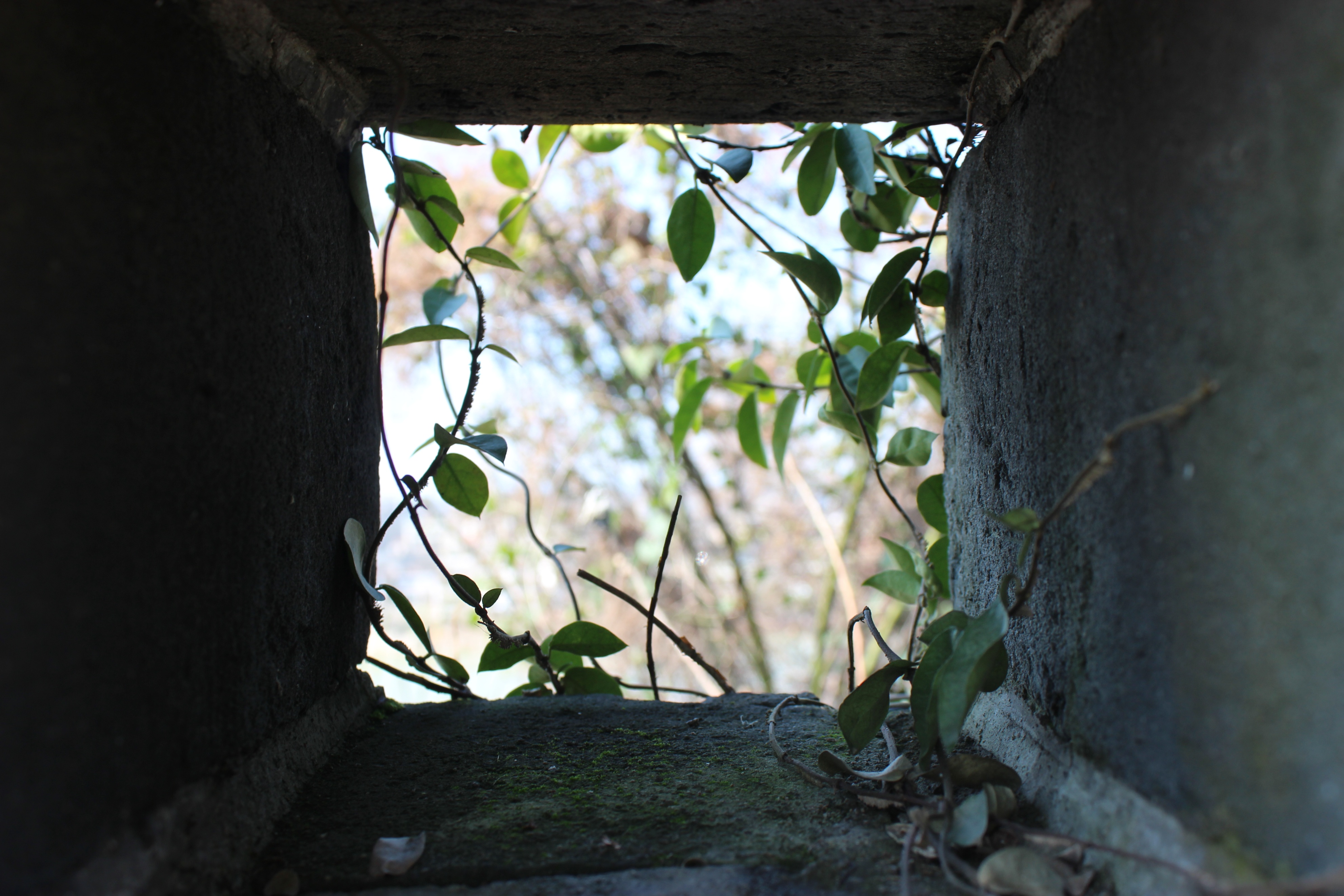 赣州周末出游攻略,春节赣州出发2-3天短途旅游