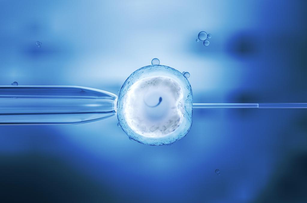 取好卵前一天的注意事项,取好卵前的各个事项