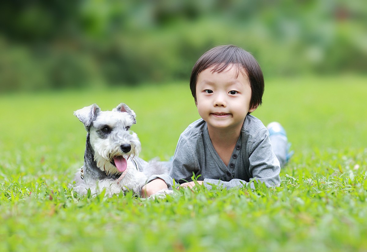 妈妈帮孩子理发发现蜱虫,小孩儿头上发现有蜱虫