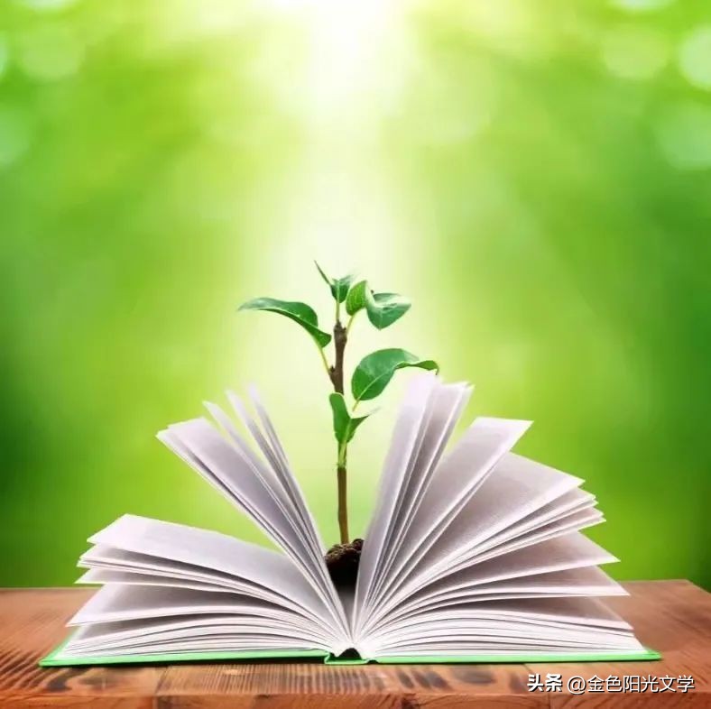 四年级写事优秀作文,四年级必背优秀作文