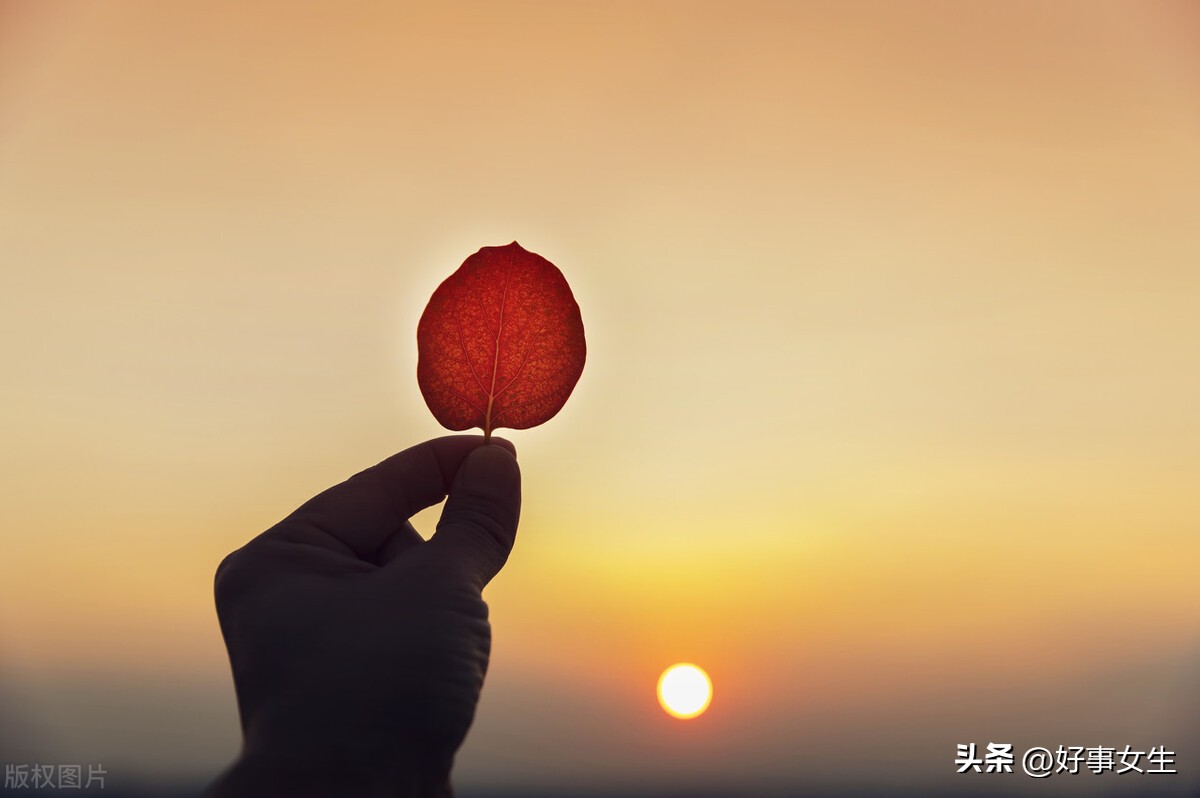 妈妈去世了我怎么办,妈妈去世前我能做什么