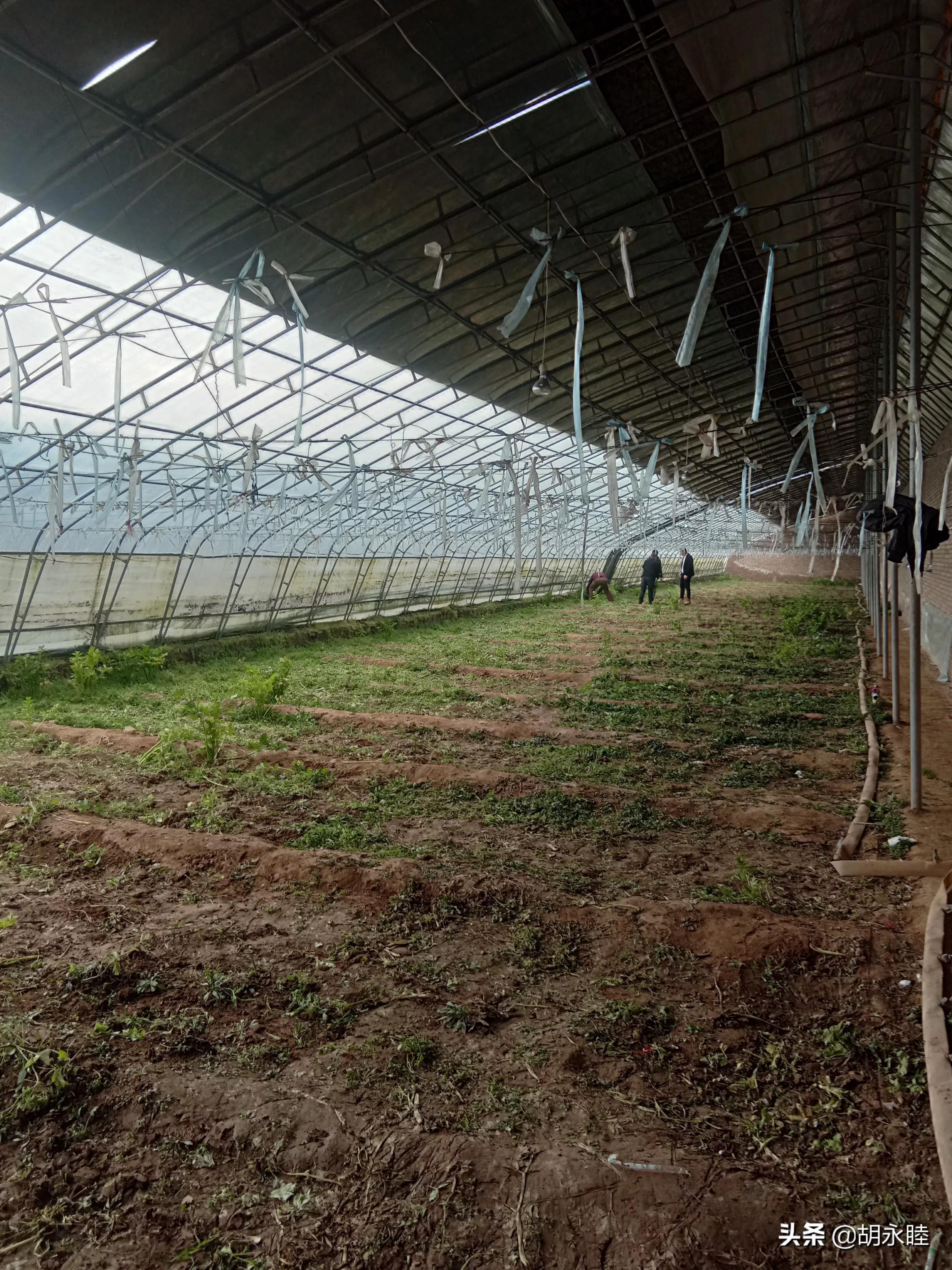 农村家用供暖多少度合适,农村电采暖的利弊