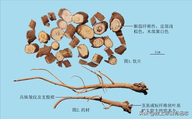 柴胡疏肝散能清心火肝火吗,柴胡疏肝散治疗肝气郁结吗