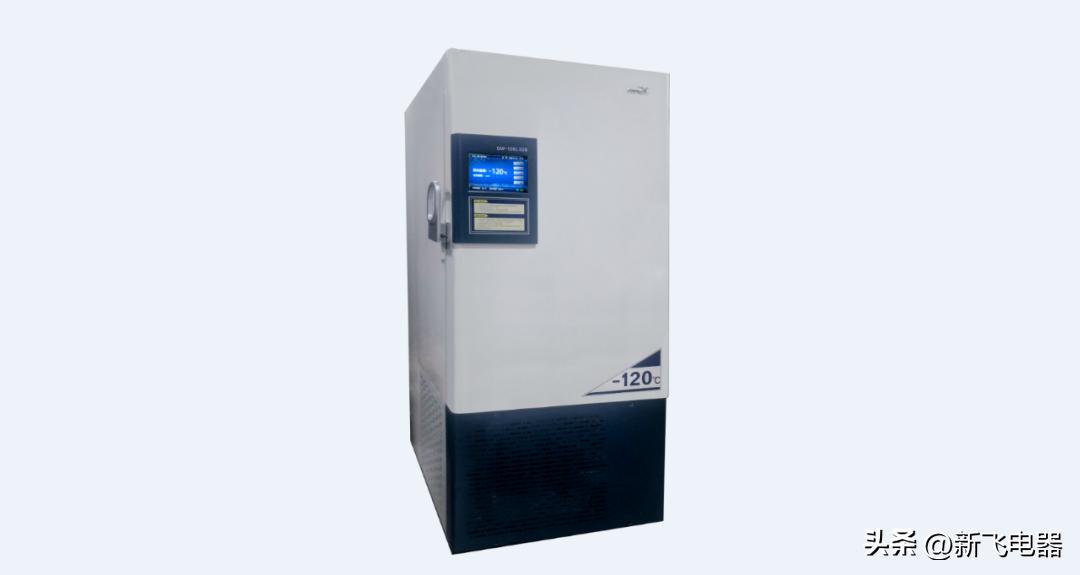 新飞双品牌协同发展,新飞竞争力