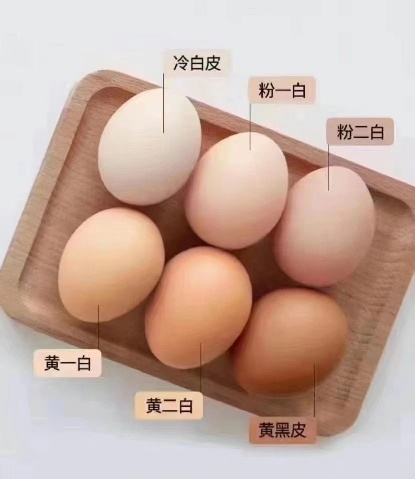 肤色不均匀应该选啥,肤色不匀选兰蔻还是dw