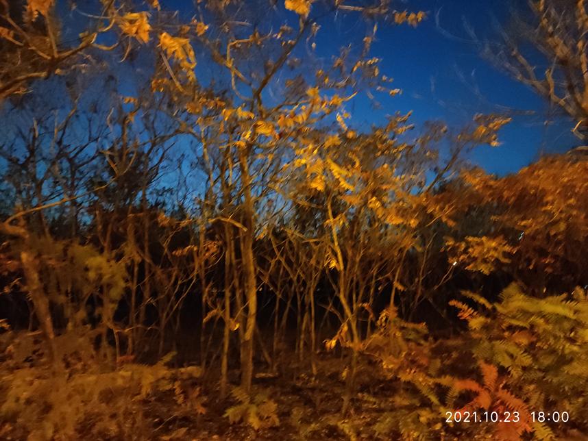 美丽校园行-2|历史生眼中的天津师范大学主校区