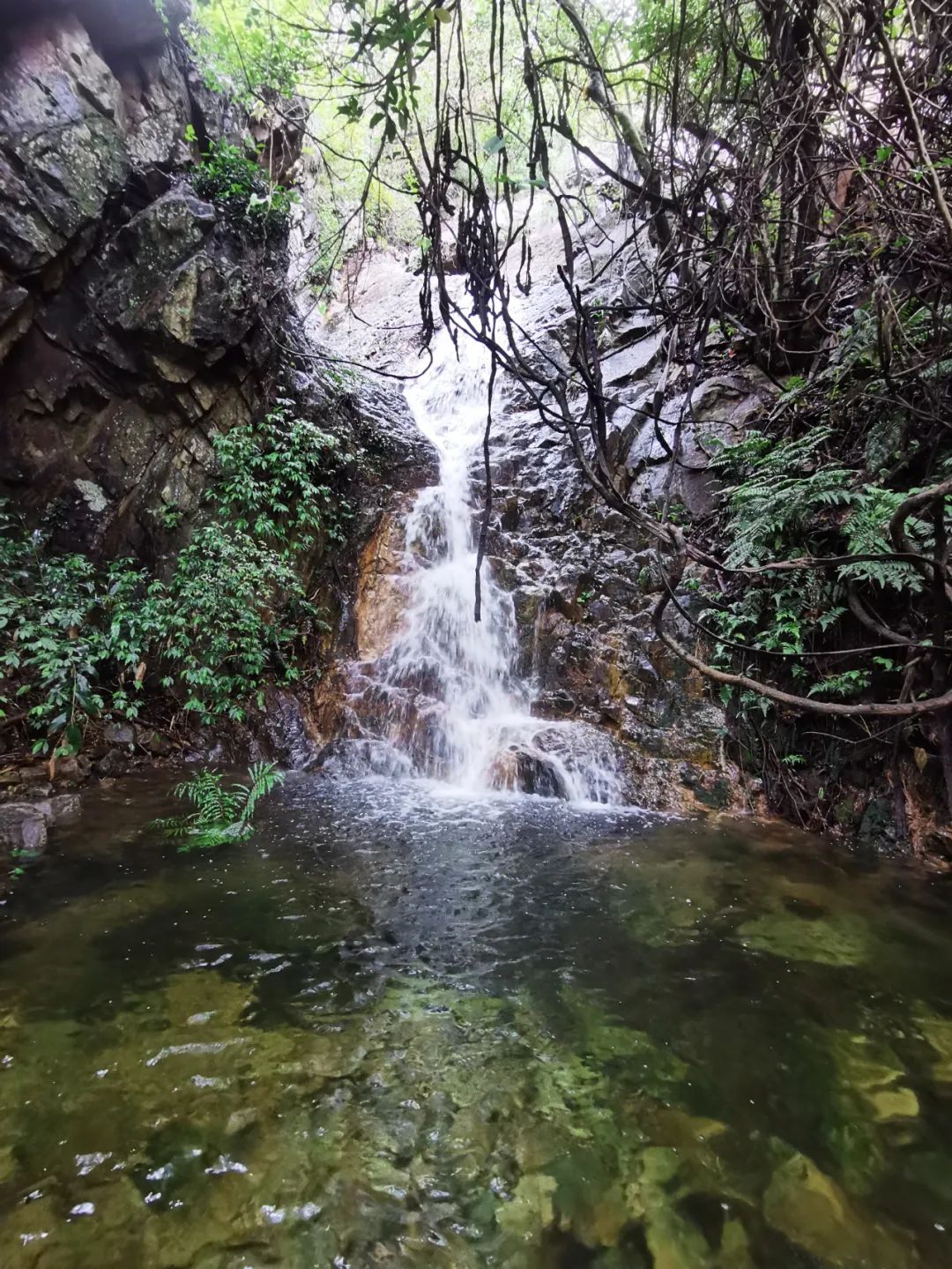 旅游年卡飞熊乐园,水上乐园年卡团购限几人