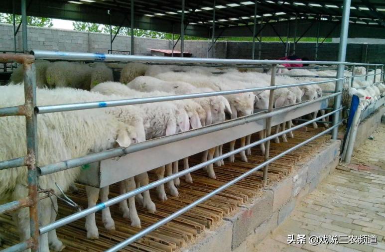 推荐3个小生意,3个小生意谁做谁赚钱