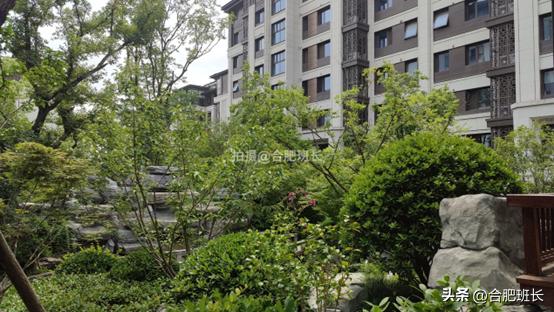 紧邻公园不如住在公园，实探以中式园林闻名的滨湖区葛洲坝紫郡府