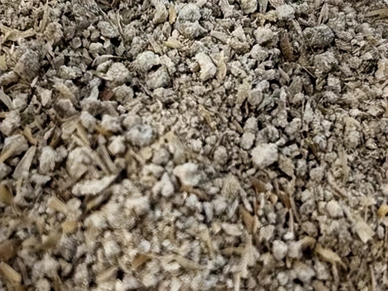 新品上市|千年曲香，铸成“清香风骨”