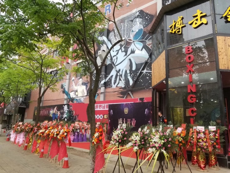 丁伟健自由搏击,丁伟健