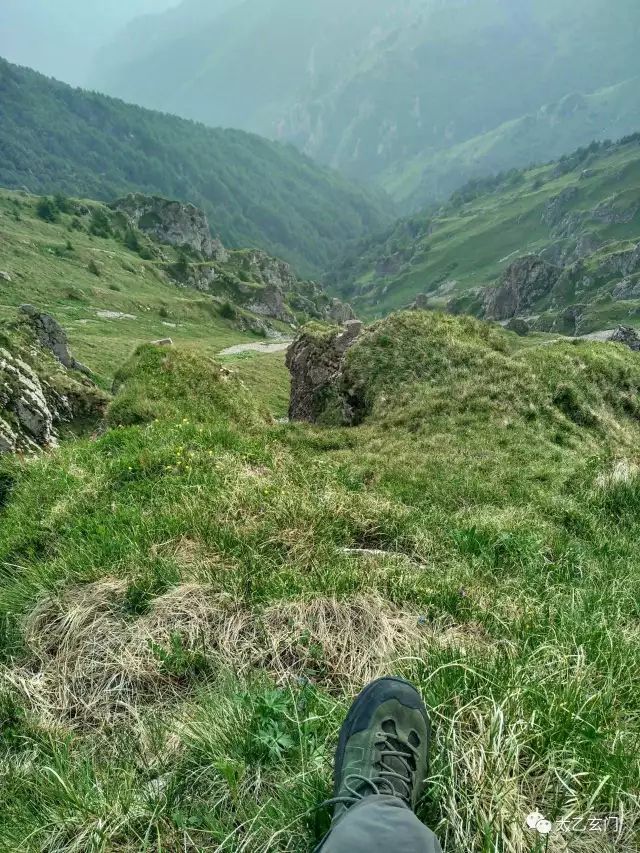 小五台山金莲花坡,小五台金莲花