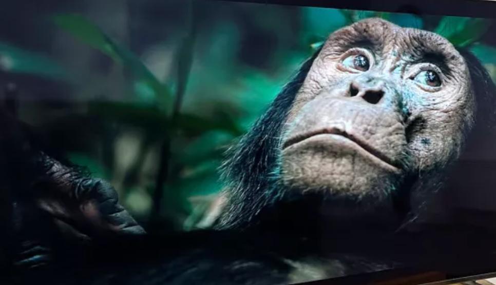 索尼A80L背面,索尼a80l