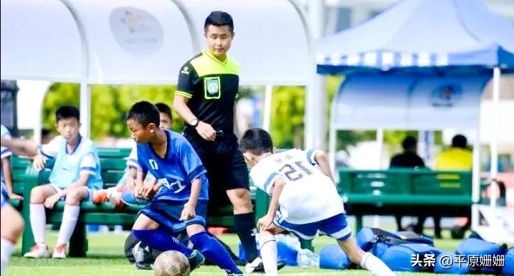 中国足协世界杯视频,上届世界杯足协总结报告