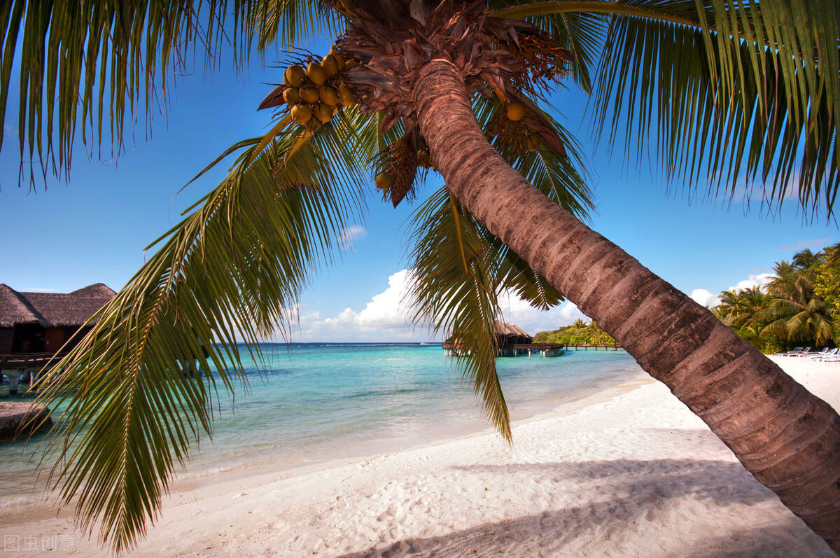 海南做什么创业好做一些,海南适合创业吗