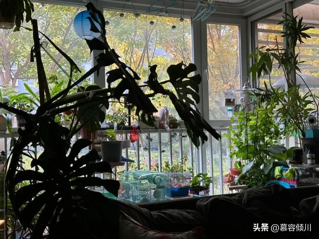 后悔没听朋友的劝,买了1楼的房子很后悔怎么办