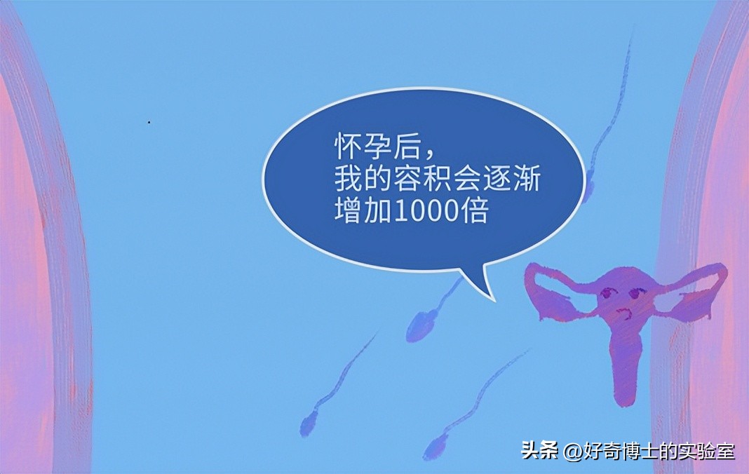 精子进入人体1小时变化,精子进入人体24小时变化