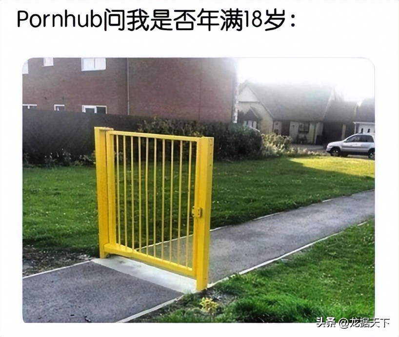 全球最大黄网，准备退出法国