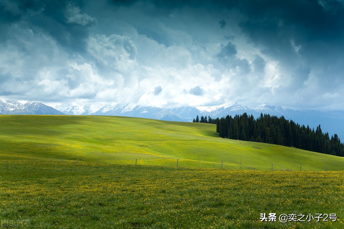 怎样安装晾衣架视频教程全过程,固定晾衣架什么时候安装