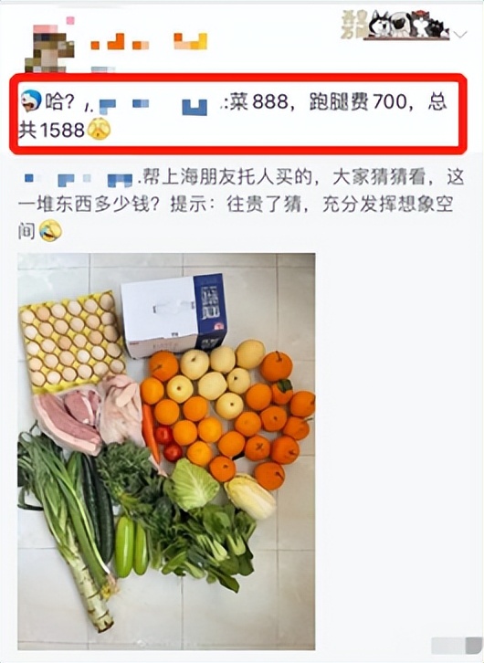 “表哥表姐”争上游，上海“精英”自救记