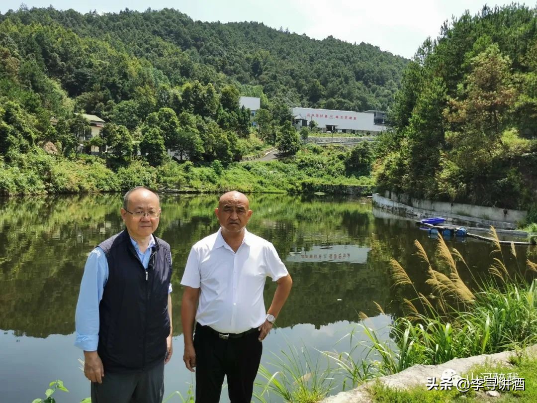 山河醉中国白酒,山河醉我